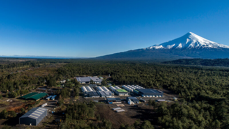 Volcanic Eruption Necessitates UV Upgrade Project At The Largest Hatchery In Chile – A Case Study