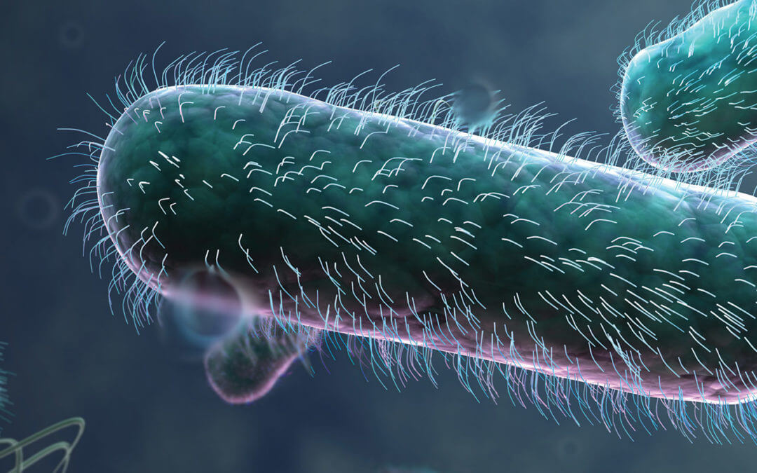 How The Pandemic Drives Legionella Concerns