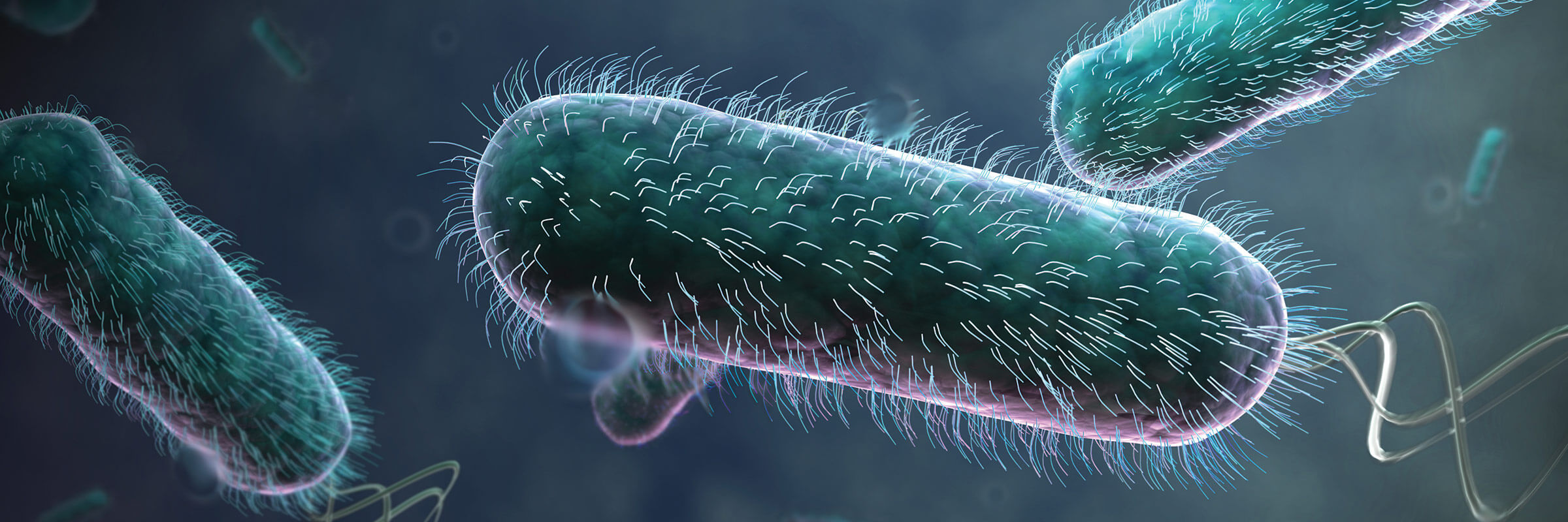 How the ongoing global pandemic drives Legionella concerns